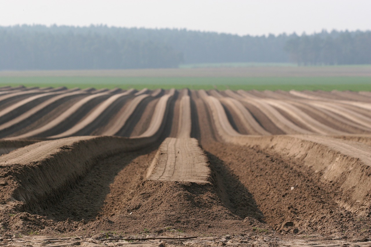 Kraštovaizdis, Bulvių Laukas, Bulvės, Laukas, Ariamasis, Nemokamos Nuotraukos,  Nemokama Licenzija