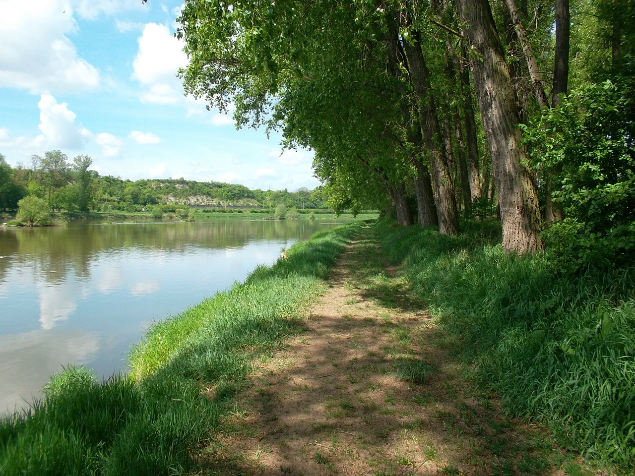 Kraštovaizdis, Vasara, Elbe, Roudnice, Vědomice, Šiaurinė Bohēma, Nemokamos Nuotraukos,  Nemokama Licenzija