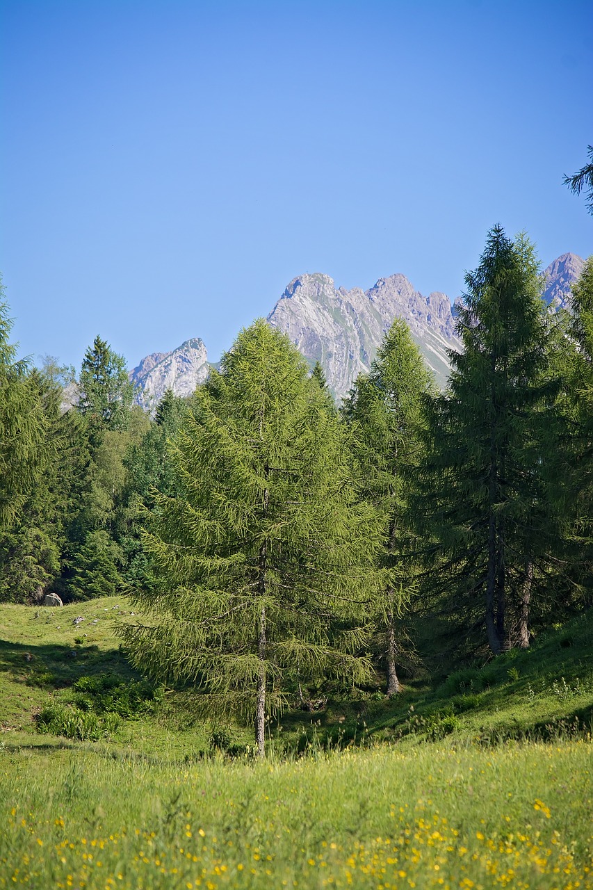 Kraštovaizdis, Gamta, Vasara, Žinoma, Pieva, Medžiai, Dangus, Mėlynas Dangus, Kalnai, Kalnų Viršūnės