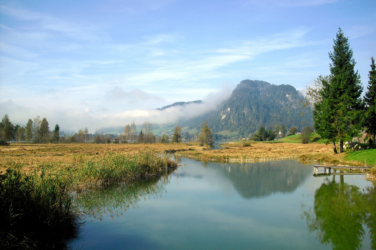 Kraštovaizdis, Ruduo, Rūkas, Austria, Walchsee, Ant Kalvos Ežero, Medis, Pieva, Upė, Ežeras