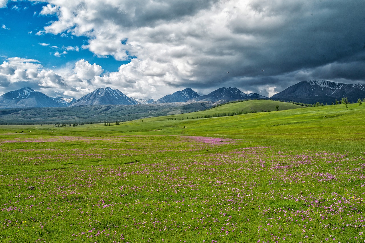 Kraštovaizdis, Mongolijos Ir Rusijos Pasienio Kalnai, Faksas Į Šiaurės Vakarų Dalį, Pieva, Mongolija, Nemokamos Nuotraukos,  Nemokama Licenzija