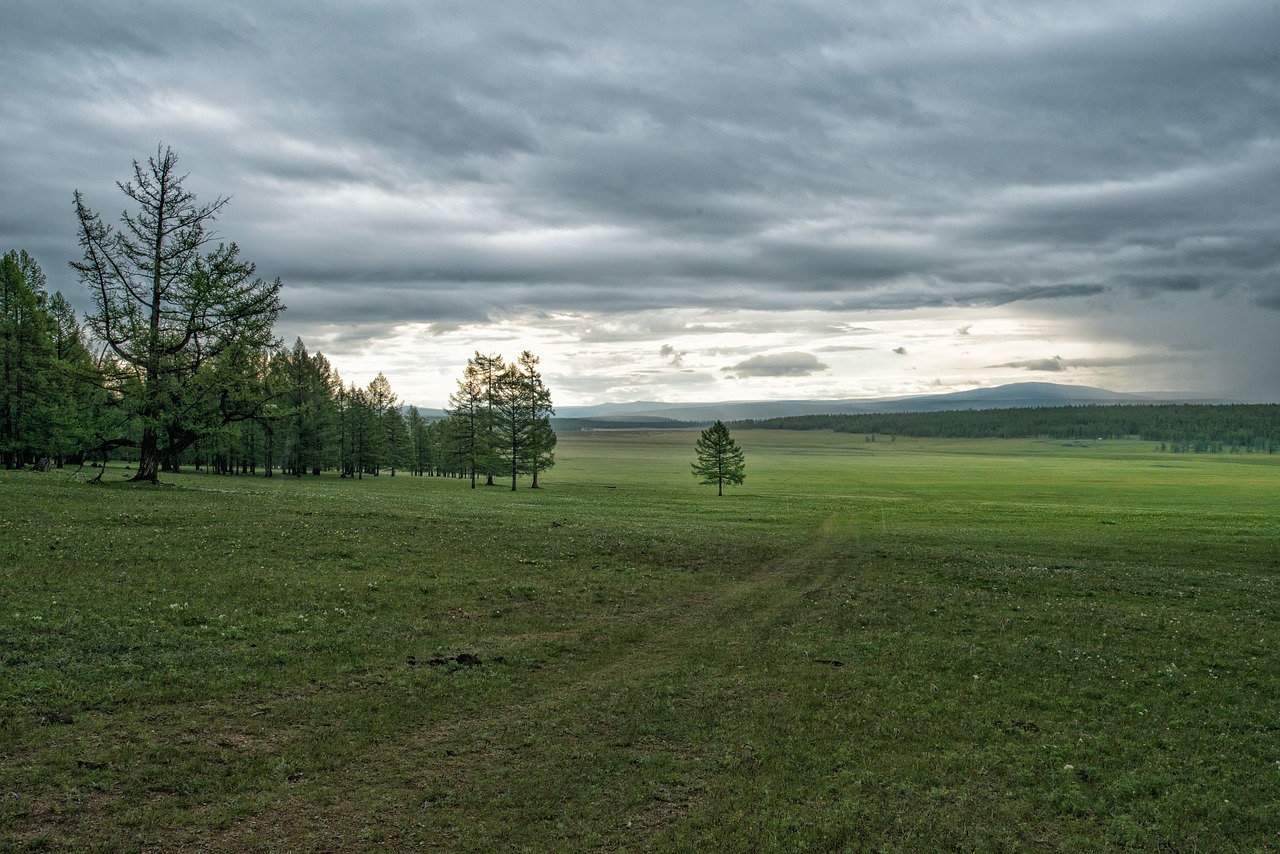 Kraštovaizdis, Pieva Ir Miškas, Tigras, Debesuota Dangaus, Faksas Į Šiaurės Vakarų Dalį, Mongolija, Nemokamos Nuotraukos,  Nemokama Licenzija