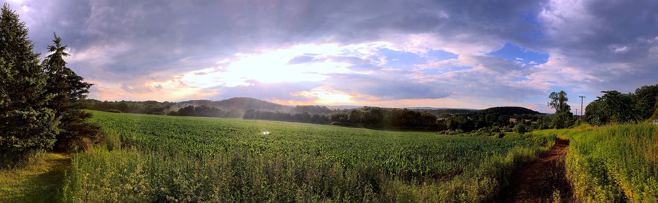 Kraštovaizdis, Laukas, Saulės Šviesa, Migla, Žalias, Gamta, Vasara, Kaimas, Dangus, Mėlynas