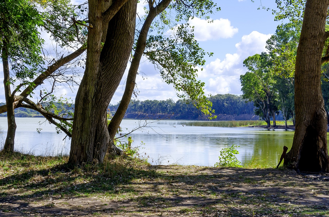 Kraštovaizdis, Medžiai, Parkas, Nemokamos Nuotraukos,  Nemokama Licenzija