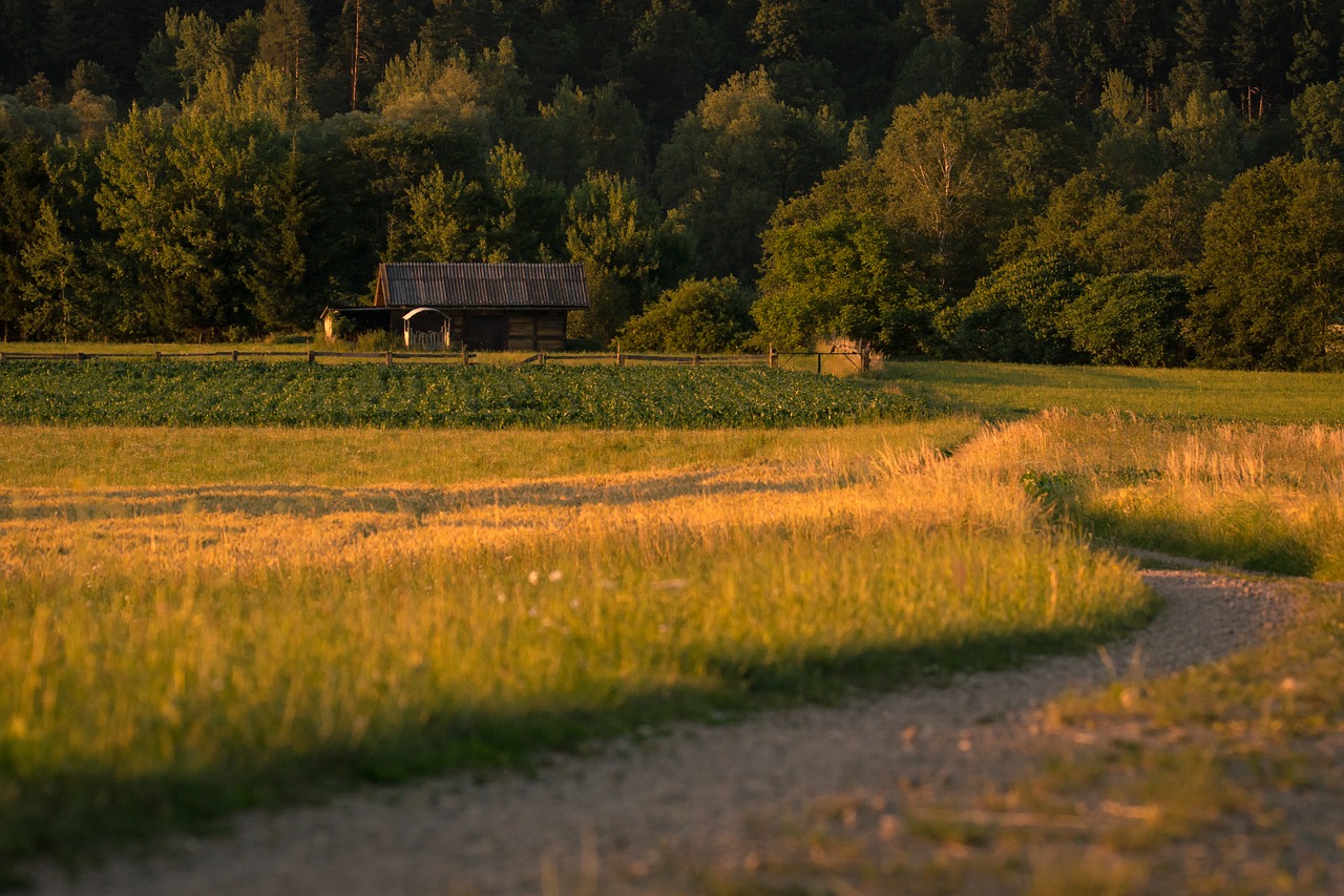 Kraštovaizdis, Laukai, Gamta, Ariamasis, Grūdai, Žemdirbystė, Dusk, Vasara, Laukas, Saulėlydis