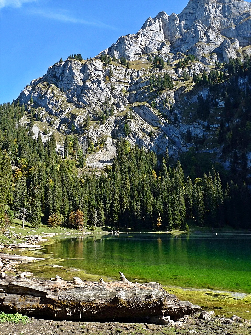 Kraštovaizdis, Gamta, Bergsee, Peizažai, Ežeras, Kalnai, Alpių, Šveicarija, Axalp, Gražus