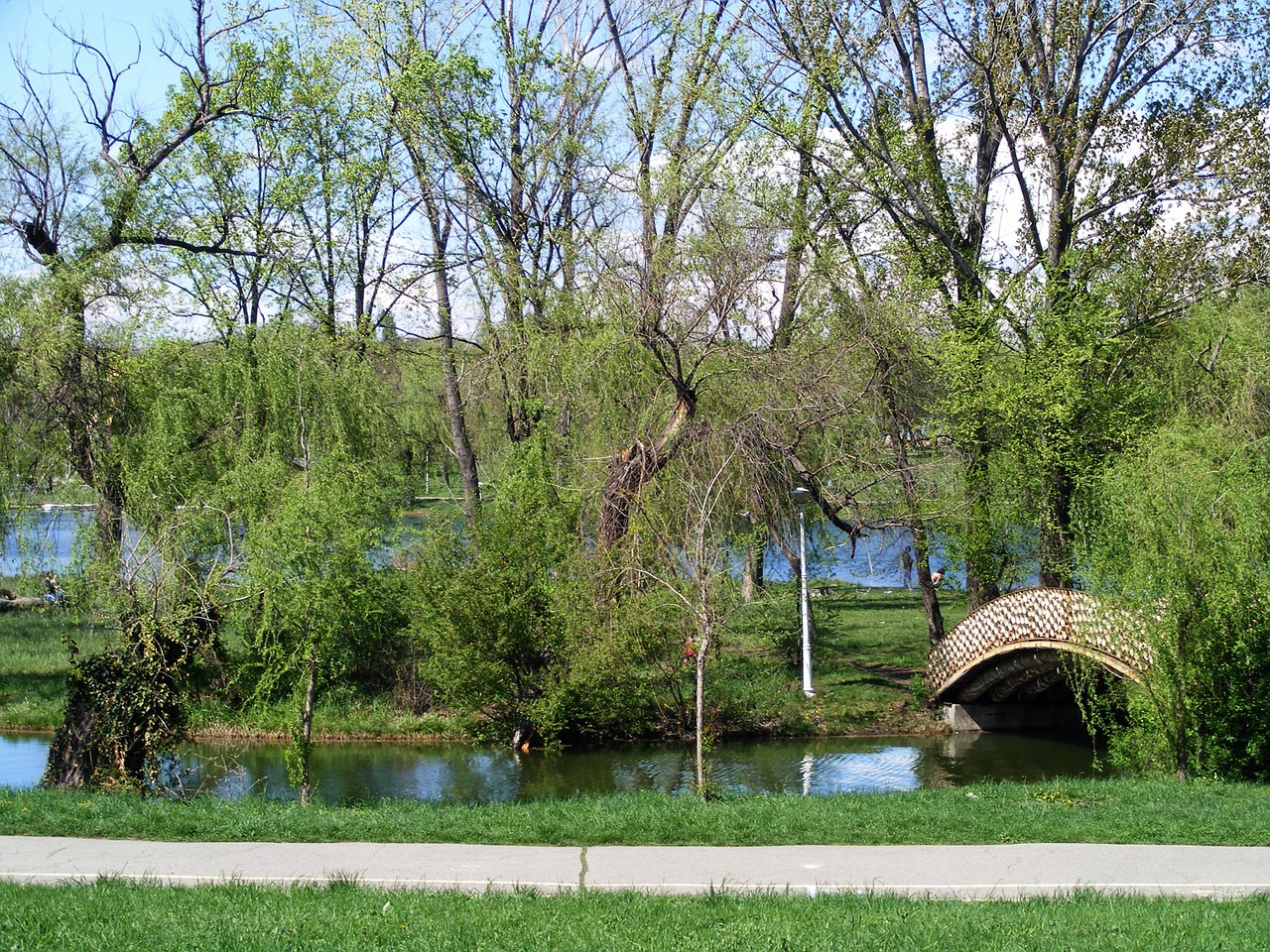 Kraštovaizdis, Medžiai, Žalias, Pavasaris, Lauke, Žolė, Sezonas, Saulė, Pieva, Scena