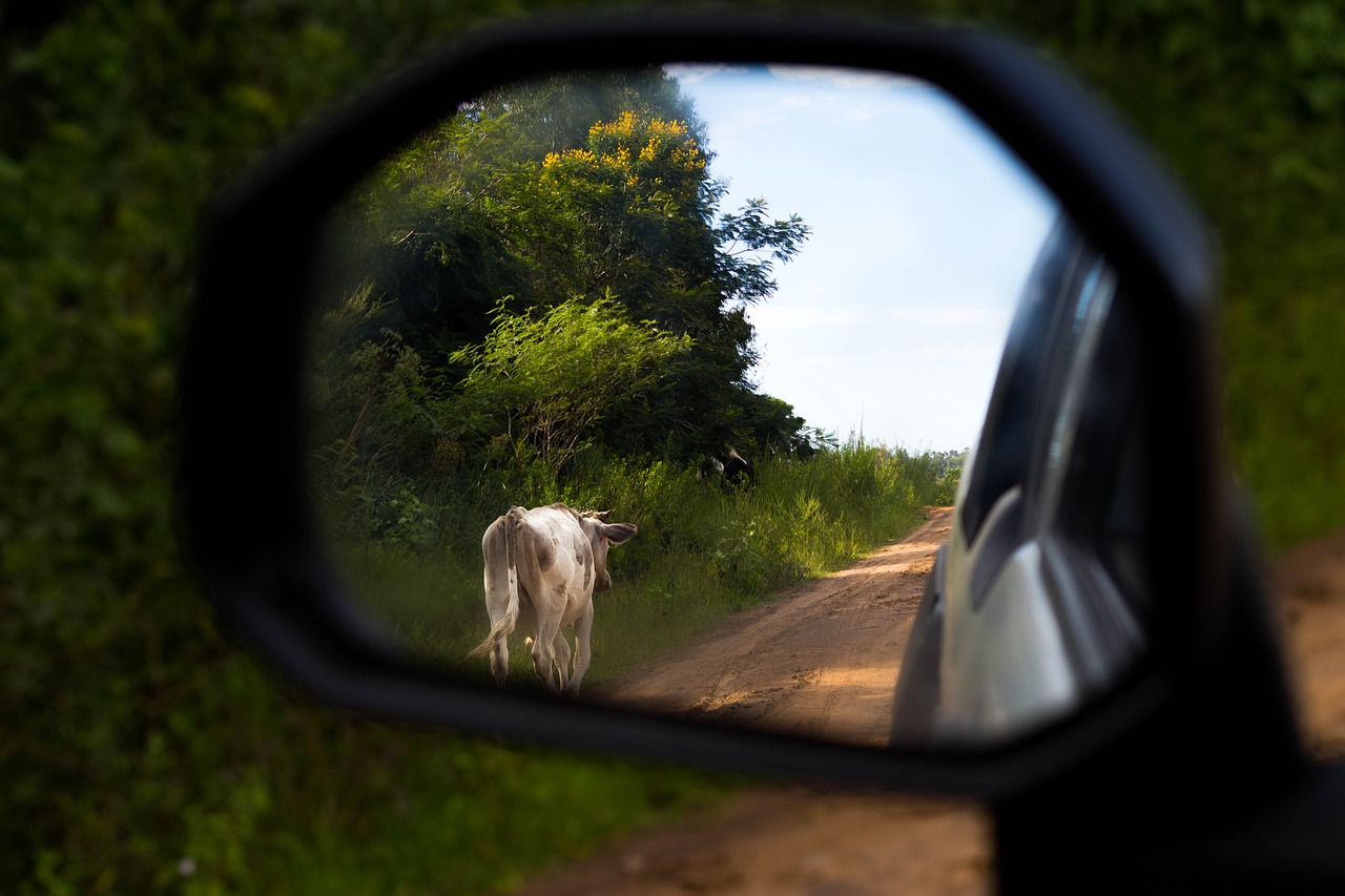 Kraštovaizdis, Gamta, Menas, Gamtos Kraštovaizdis, Urugvajus, Natūralus, Turizmas, Nemokamos Nuotraukos,  Nemokama Licenzija