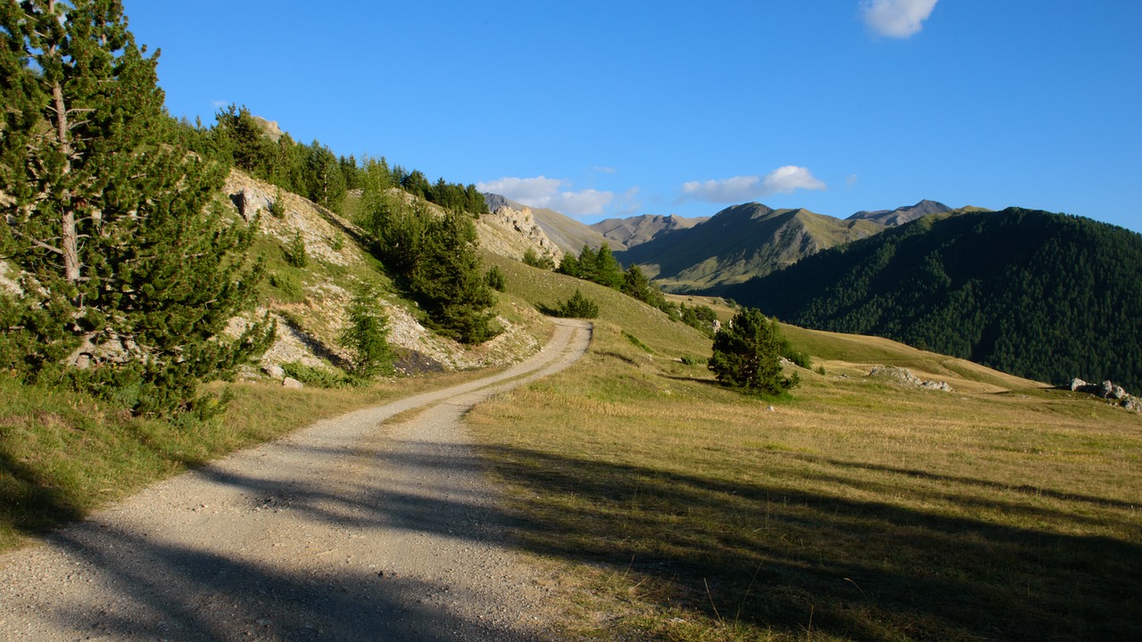 Kraštovaizdis, Kelias, Gamta, Kalnas, Dangus, Eglė, Miškas, Žalias, Kalnas, Vasara