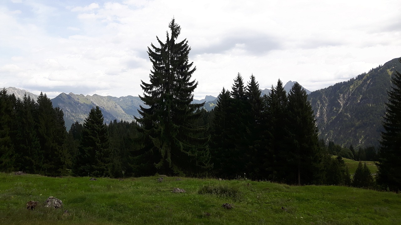 Kraštovaizdis, Allgäu, Kalnai, Alpių, Oberstdorf, Krioklys, Žygiai, Nemokamos Nuotraukos,  Nemokama Licenzija