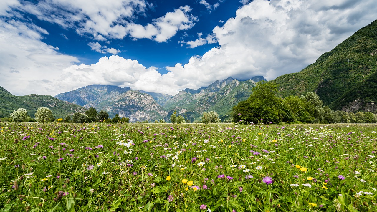 Kraštovaizdis, Valtellina, Pievos, Gėlės, Lombardija, Kalnai, Italy, Cosio Valtellino, Alpės, Takai