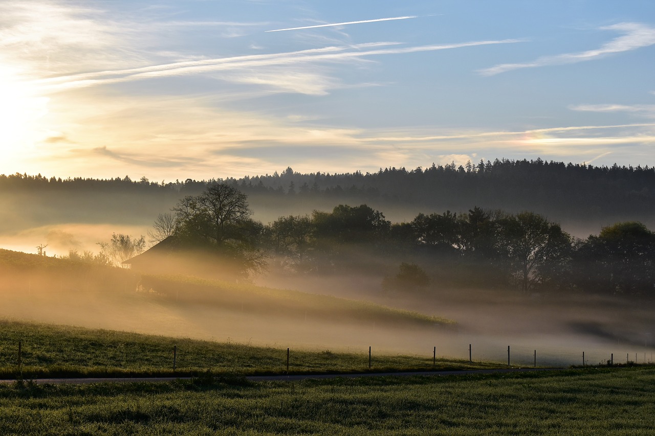 Kraštovaizdis, Rūkas, Morgenstimmung, Atgal Šviesa, Gamta, Nuotaika, Kyla Rūko, Rytas, Dangus, Žolės