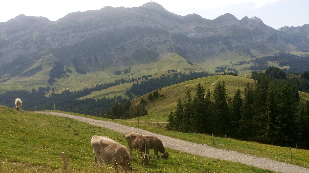 Kraštovaizdis, Kalnai, Swiss Alps, Nemokamos Nuotraukos,  Nemokama Licenzija