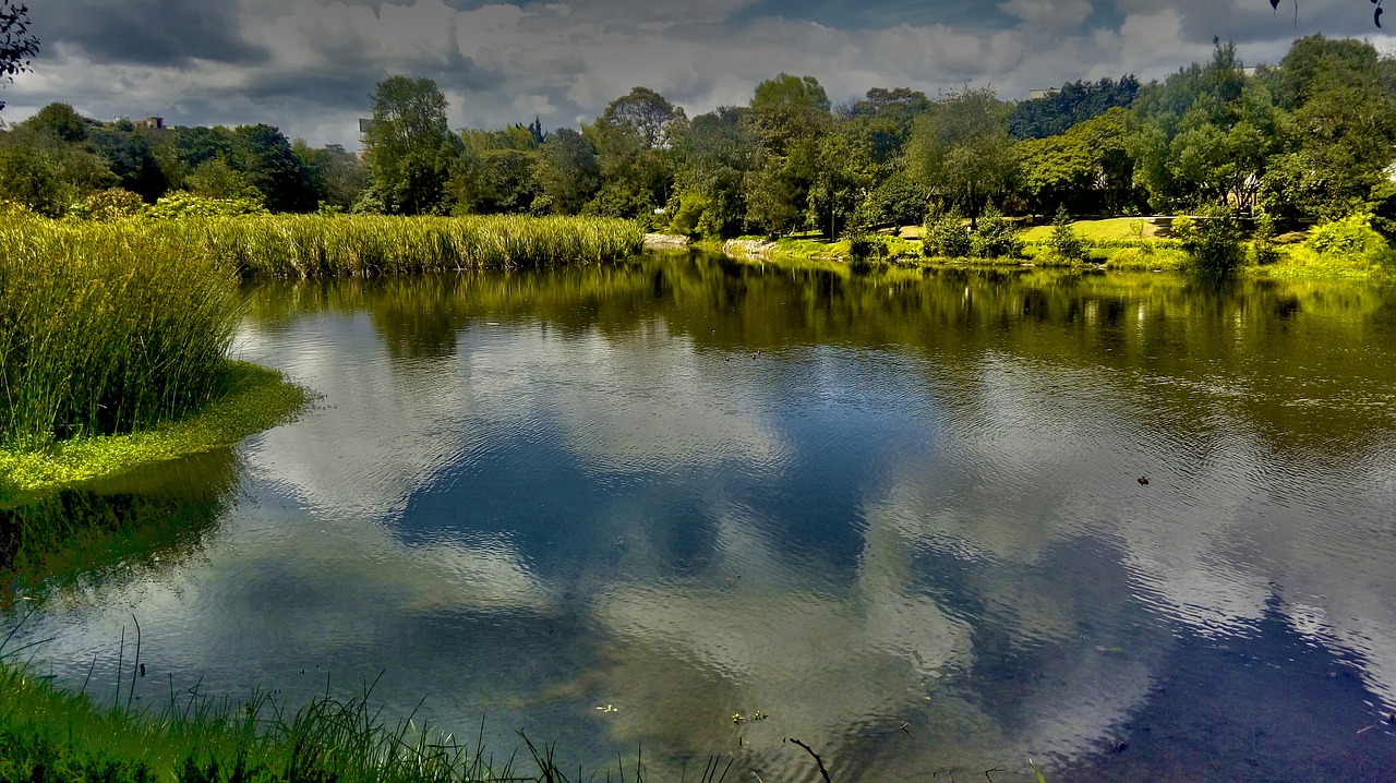 Kraštovaizdis, Hdr, Horizontas, Pelkė, Popietė, Gamta, Tiltas, Photoshop, Miestas, Vanduo