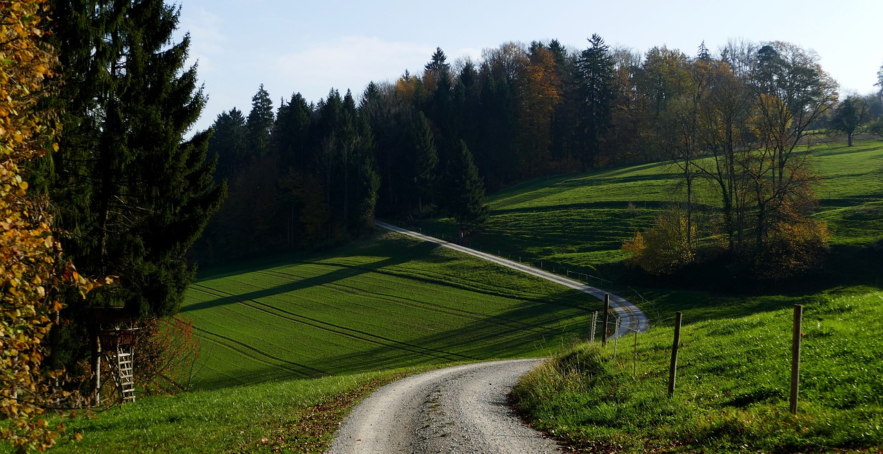 Kraštovaizdis, Gamta, Ešeriai, Toli, Saulė, Ruduo, Ganykla, Pieva, Medžiai, Miškas