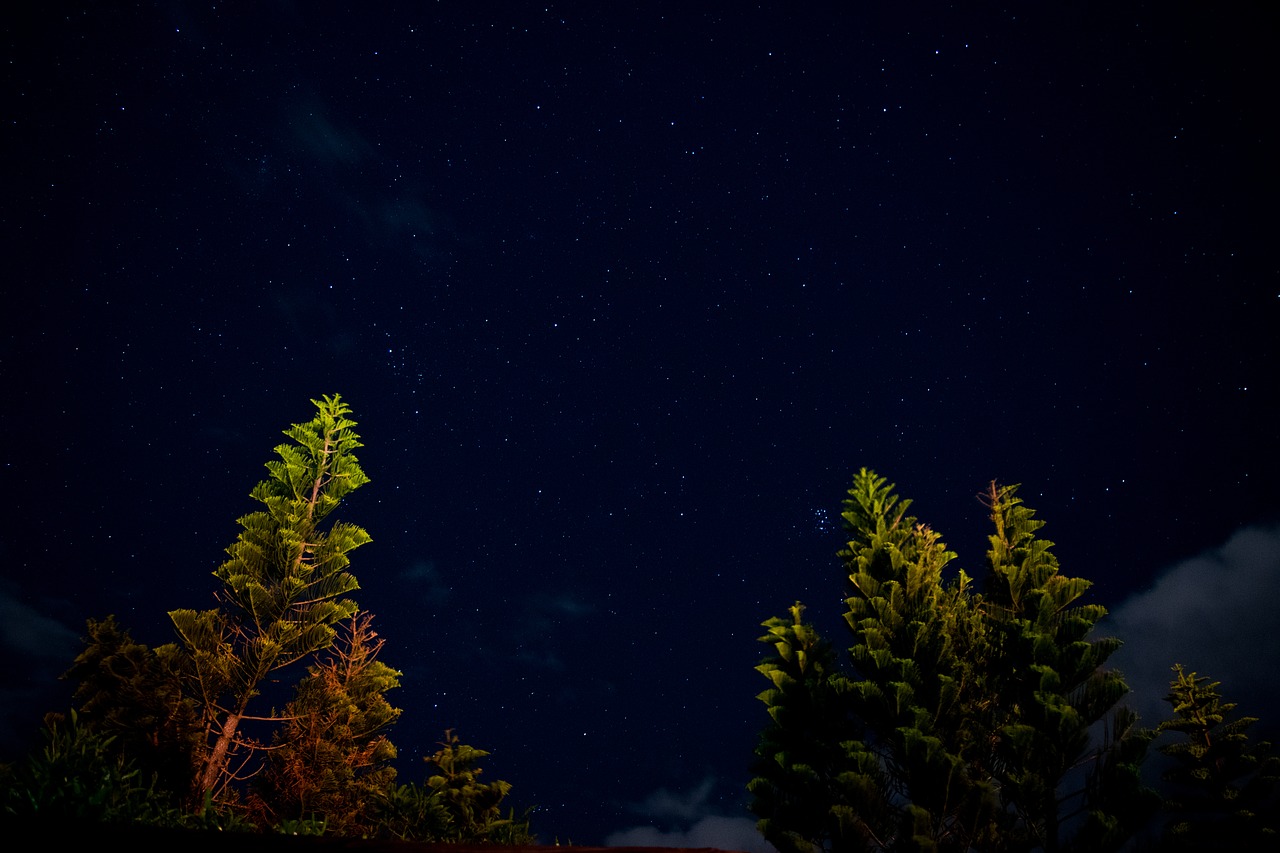 Kraštovaizdis, Žvaigždės, Astrofotografija, Medžiai, Nemokamos Nuotraukos,  Nemokama Licenzija