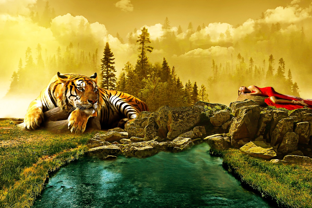 Kraštovaizdis, Tigras, Gyvūnas, Manipuliavimas, Photoshop, Saulėlydis, Debesys, Debesis, Miškas, Gamta