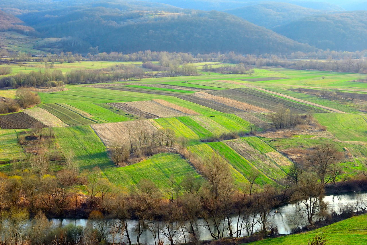 Kraštovaizdis, Laukas, Žemdirbystė, Gamta, Žolė, Nemokamos Nuotraukos,  Nemokama Licenzija