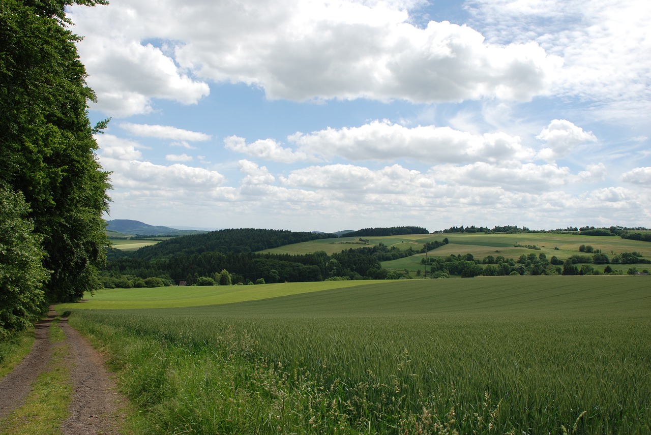 Kraštovaizdis, Panorama, Gamta, Žolė, Medis, Dangus, Kalnas, Debesis, Vasara, Pieva