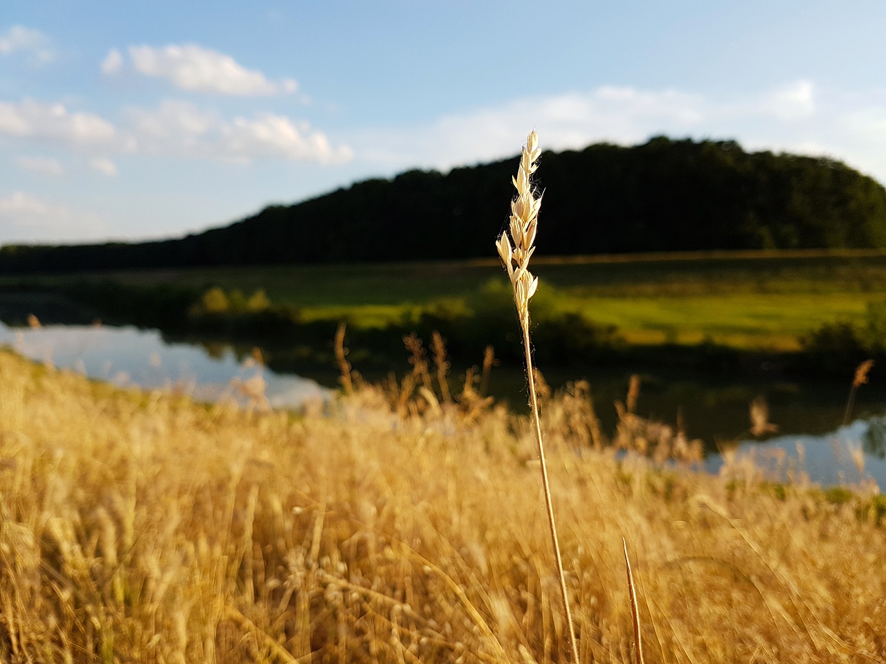 Kraštovaizdis,  Gamta,  Laukas,  Veja,  Lauke,  Upė,  Vanduo,  Kranto,  Riverside,  Pieva