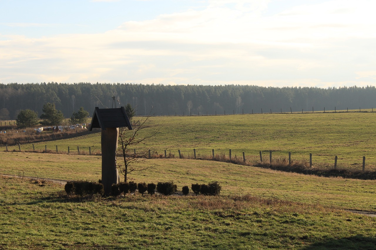 Kraštovaizdis,  Žemdirbystė,  Laukas,  Medis,  Ūkis,  Žolė,  Lauke,  Gamta,  Hayfield,  Panoraminis