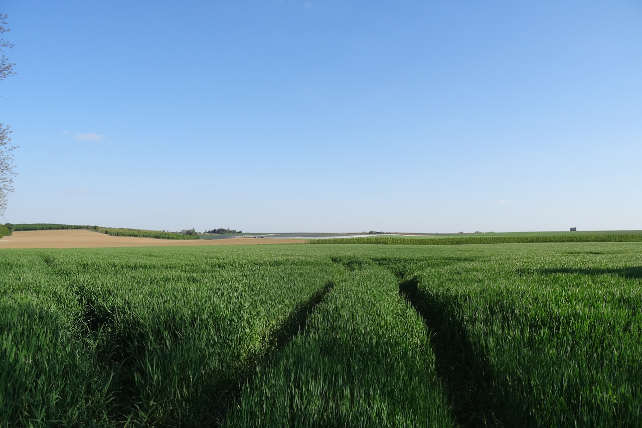 Kraštovaizdis,  Laukas,  Pobūdį,  Nė Vienas Asmuo,  Panoraminis, Nemokamos Nuotraukos,  Nemokama Licenzija