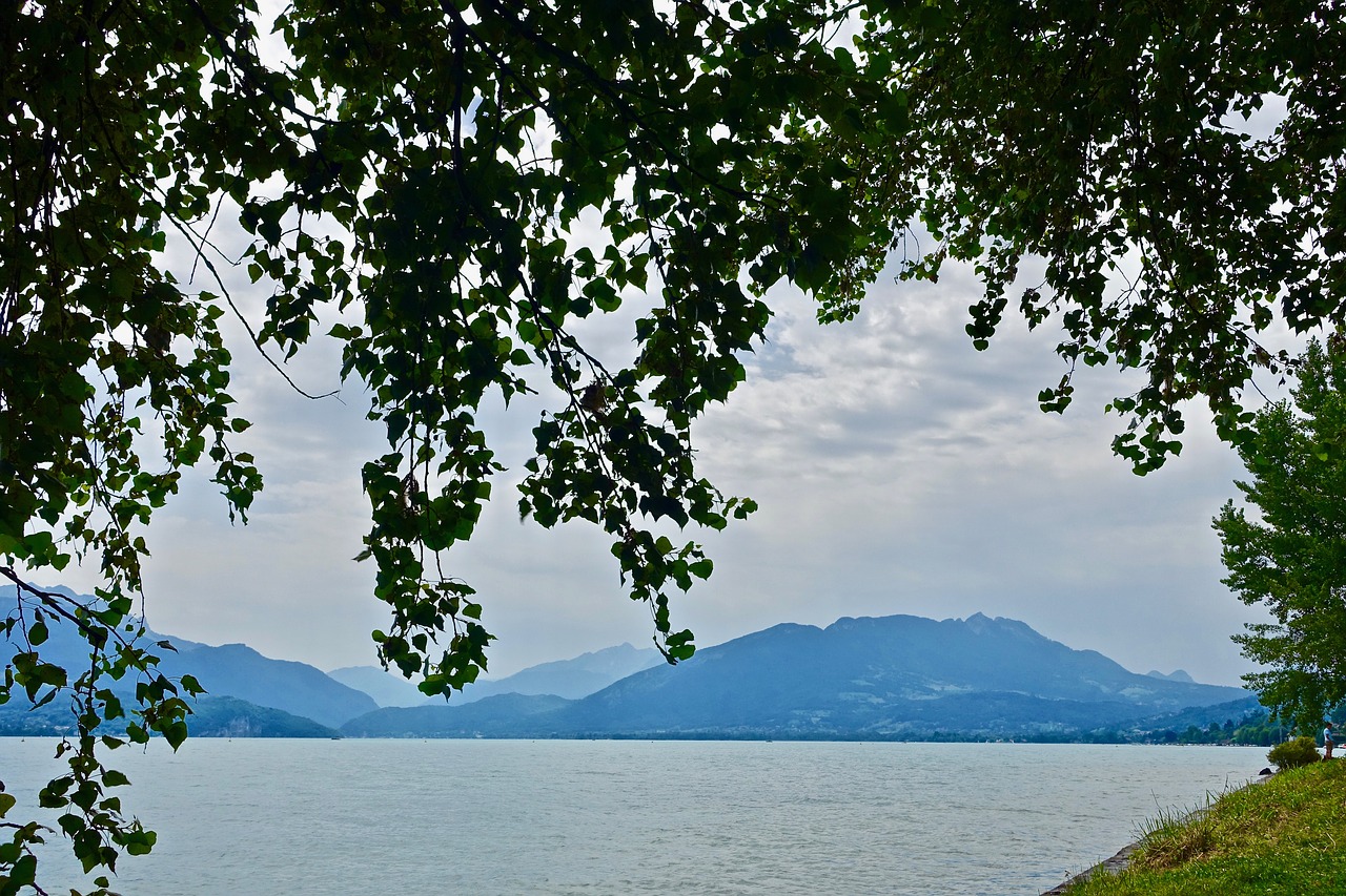 Kraštovaizdis,  Vandens,  Medis,  Pobūdį,  Panoraminis,  Fonas,  Erdvė,  Natūralus,  Panorama, Nemokamos Nuotraukos