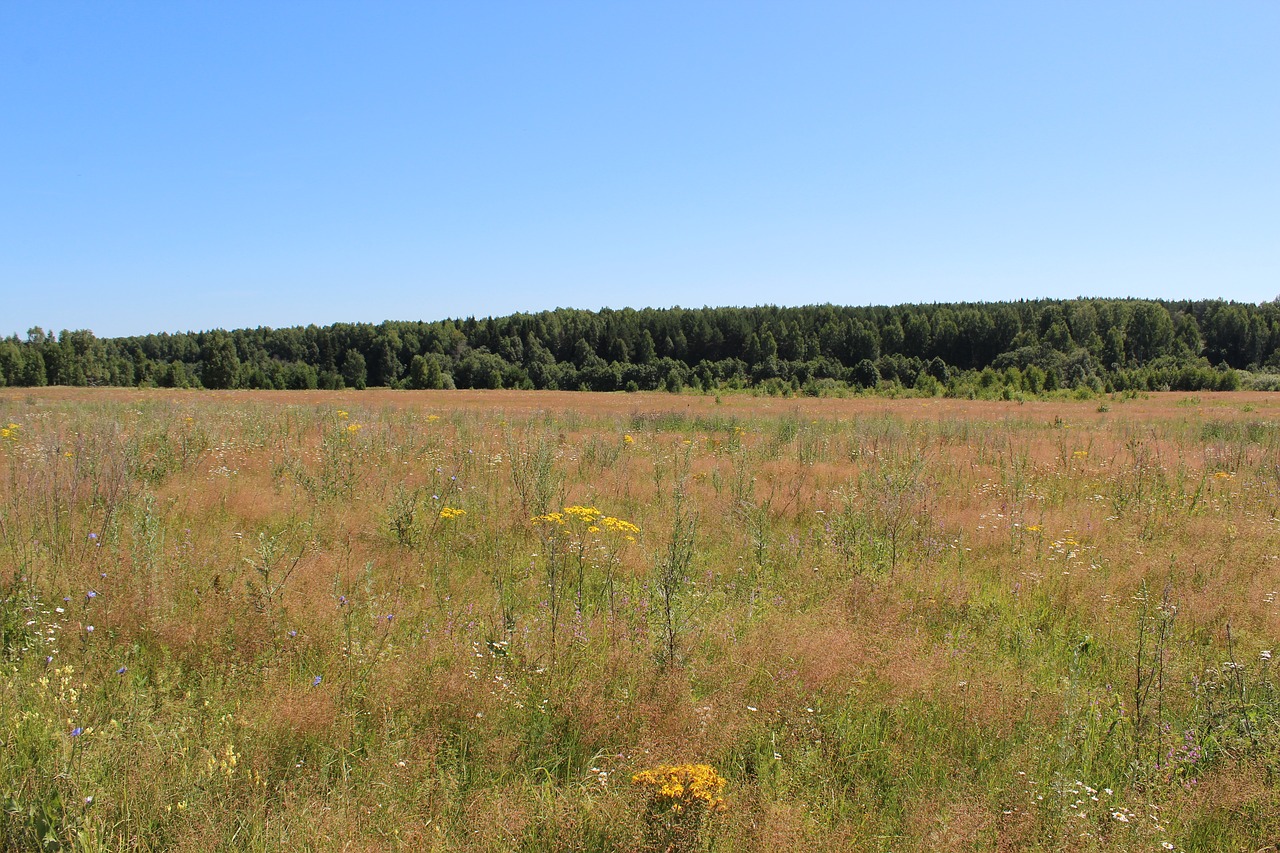 Kraštovaizdis,  Pobūdį,  Panoraminis,  Dangus, Nemokamos Nuotraukos,  Nemokama Licenzija