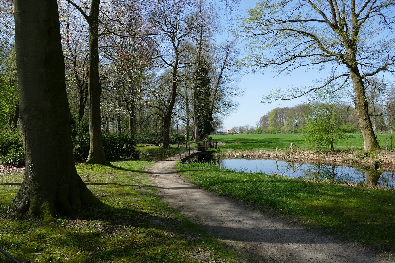 Kraštovaizdis,  Pobūdį,  Parkas,  Žygiai,  Kelias,  Vandens,  Ganyklos,  Turto,  S-Graveland,  Nyderlandai