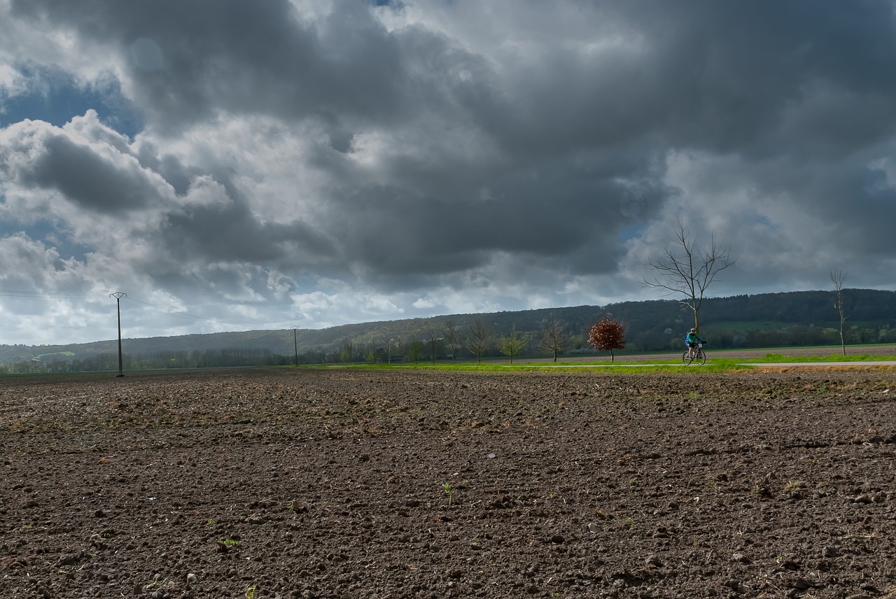 Kraštovaizdis,  Laukas,  Dangus,  Pobūdį,  Prerijų,  Medis,  Lauko,  Sezonas,  Šalis,  Gražūs Dienas