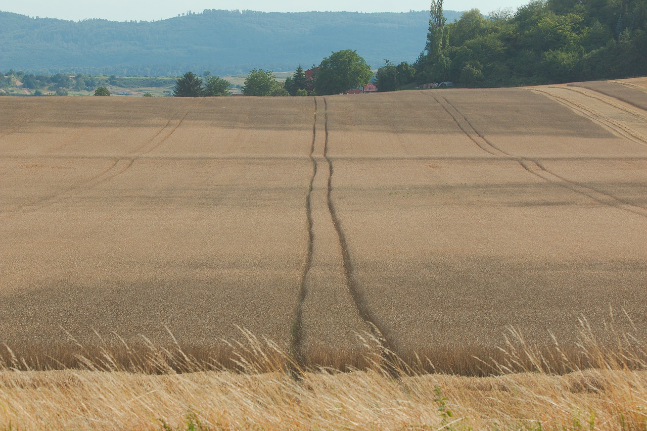 Kraštovaizdis,  Pobūdį,  Sausas,  Žemė,  Laukas,  Panorama,  Dangus,  Žemdirbystė,  Horizontali,  Žolė