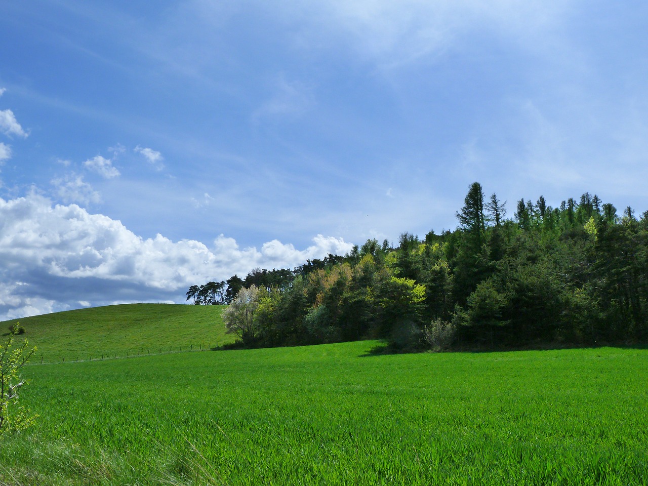 Kraštovaizdis, Gamta, Žalias, Pavasaris, Atsipalaidavimas, Prairie, Miškas, Dangus, Laukai, Kalvos