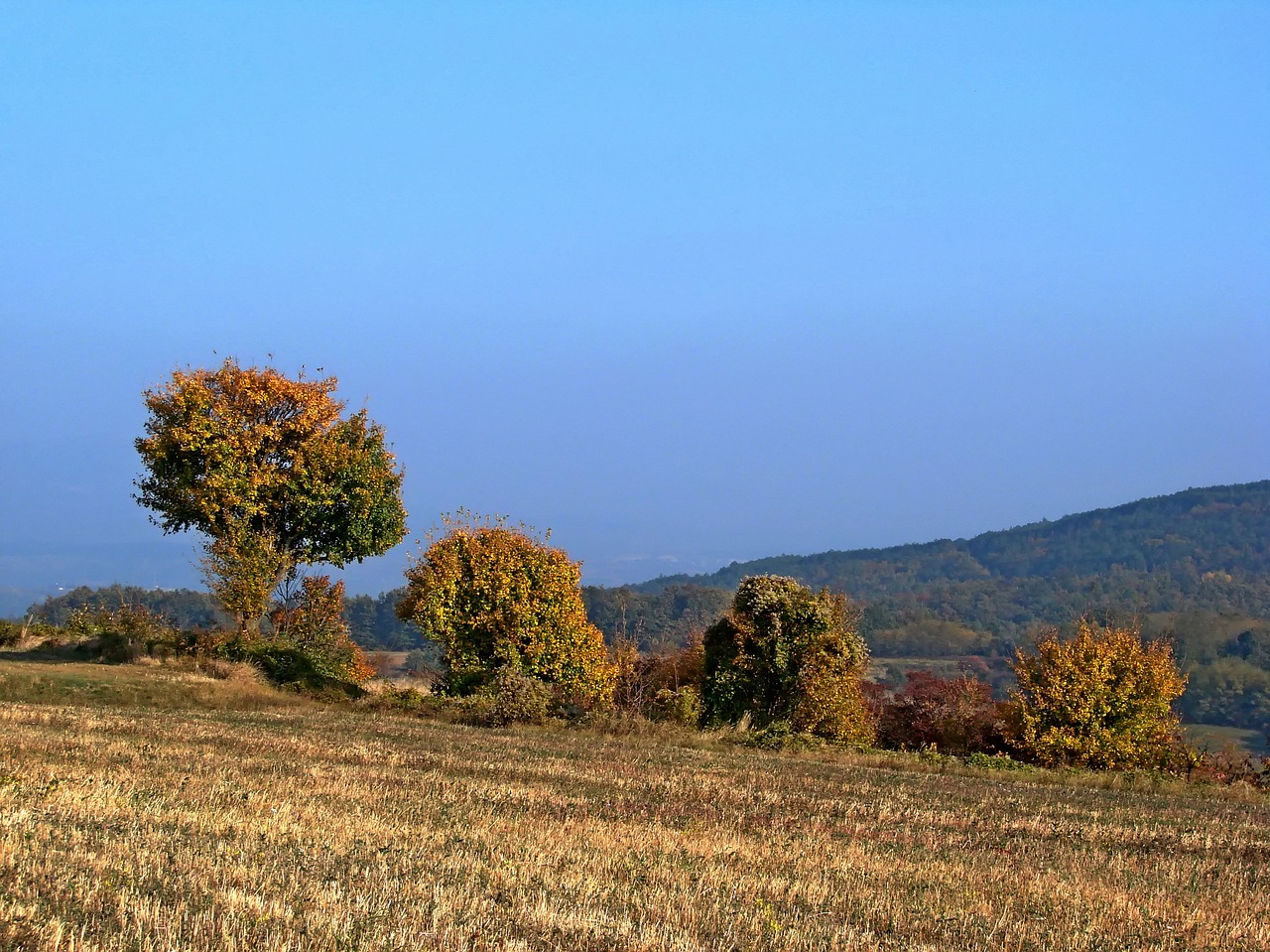 Kraštovaizdis,  Pobūdį,  Medis,  Dangus,  Lauke, Nemokamos Nuotraukos,  Nemokama Licenzija