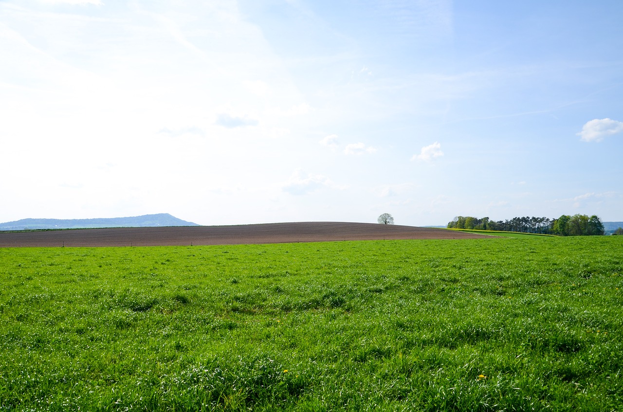 Kraštovaizdis,  Panorama,  Laukas,  Pobūdį,  Žemdirbystė,  Žolė,  Medis,  Dangus,  Meadow,  Tvarumas