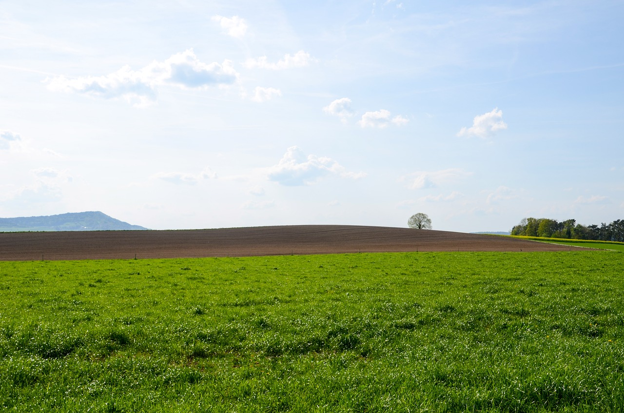 Kraštovaizdis,  Panorama,  Laukas,  Pobūdį,  Žemdirbystė,  Žolė,  Medis,  Dangus,  Meadow,  Tvarumas