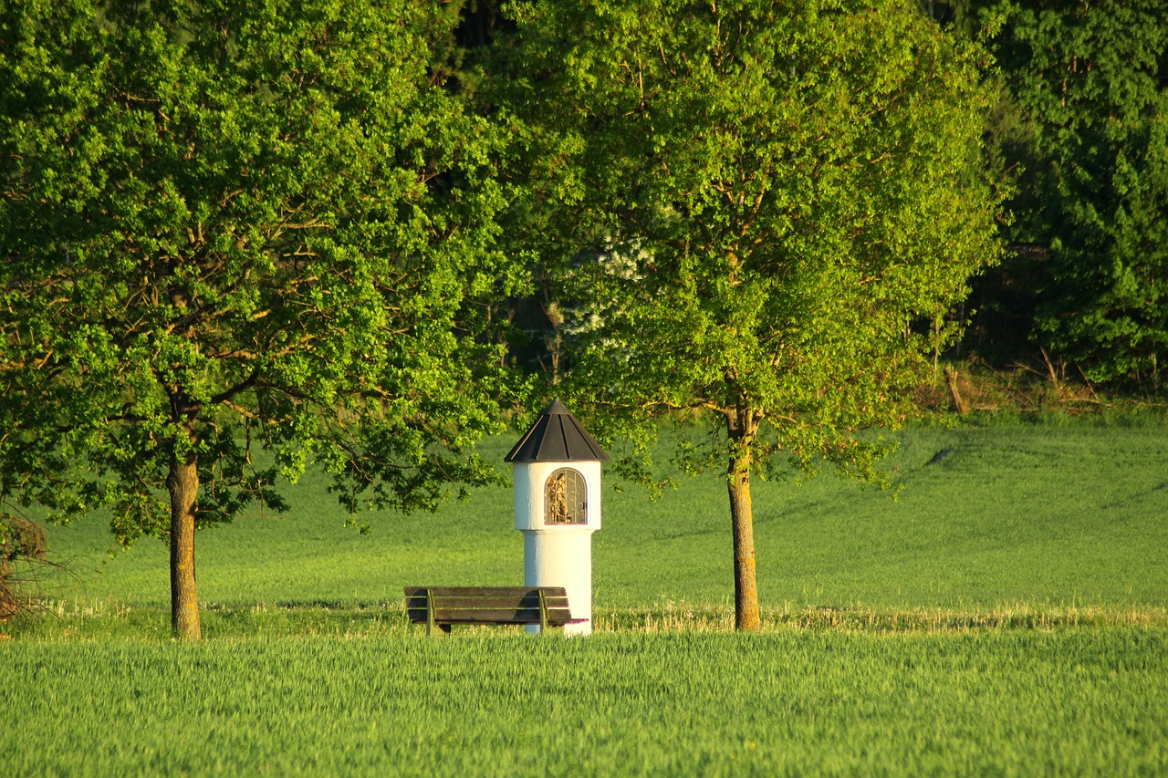 Kraštovaizdis,  Idilė,  Pobūdį,  Sunny,  Vasara,  Atmosferos,  Žalias,  Romantika,  Peržiūrėti,  Poilsis