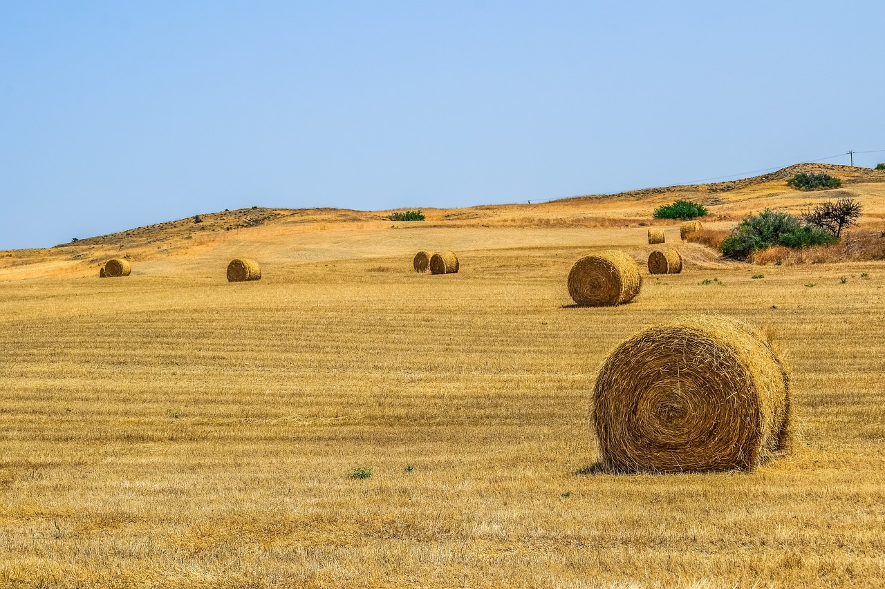 Kraštovaizdis,  Sausas,  Dangus,  Hill,  Pobūdį,  Kaimo,  Hayfield,  Kaimo,  Natūralus,  Šalis