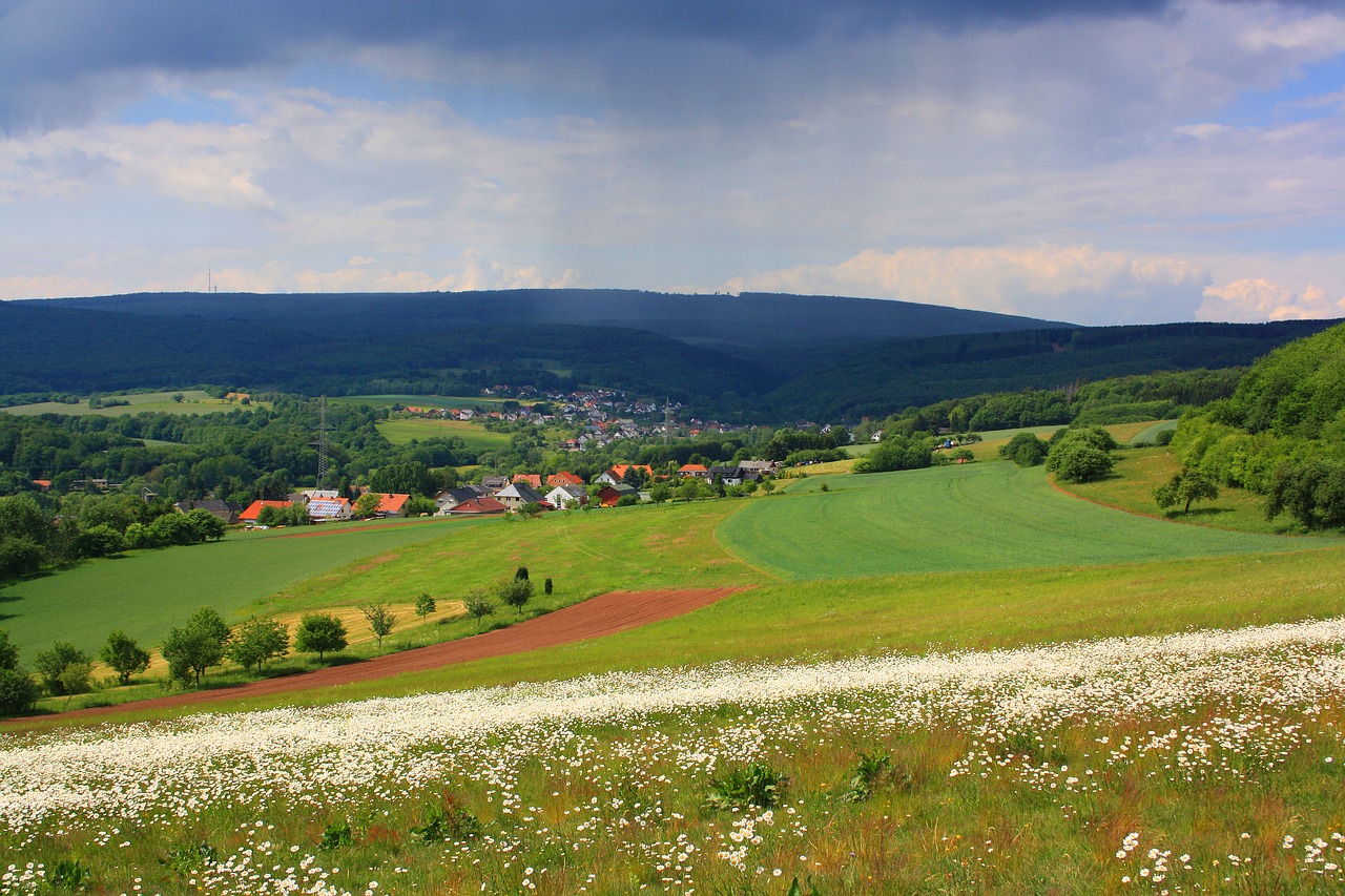 Kraštovaizdis,  Pobūdį,  Kalnai,  Pievos,  Laukai Gėlių,  Didelis Miškas Saarland,  Vasara,  Gėlių Pieva,  Kaimo, Nemokamos Nuotraukos