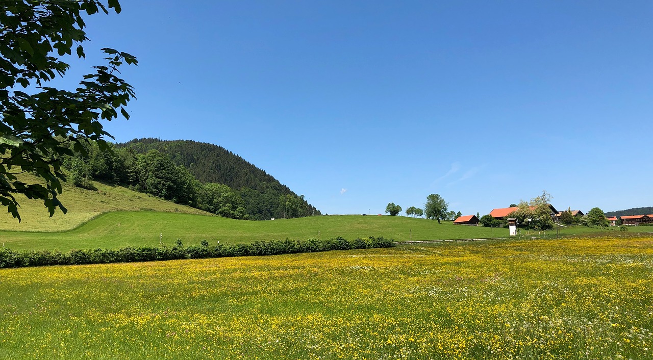 Kraštovaizdis,  Dangus,  Debesys,  Pobūdį,  Vasara,  Nuotaika,  Panorama,  Saulės,  Vokietija,  Žalias