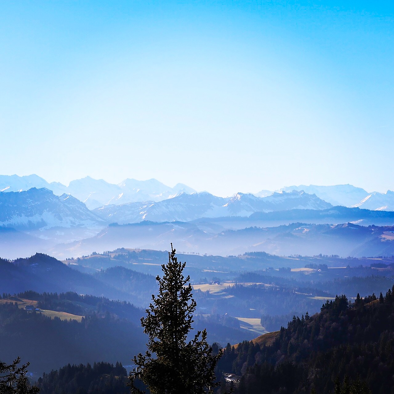 Kraštovaizdis,  Kalnai,  Pobūdį,  Panorama,  Vizija,  Medis,  Hill,  Šveicarija,  Žygiai,  Kalvotas