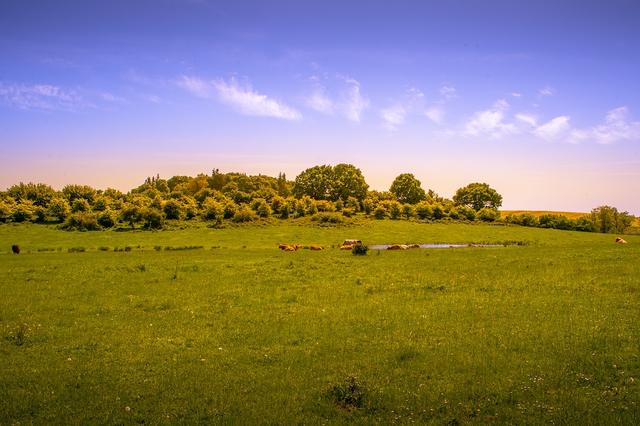 Kraštovaizdis,  Meadow,  Pobūdį,  Dangus,  Debesys,  Žalias,  Žolė,  Hill,  Vasara,  Poilsio