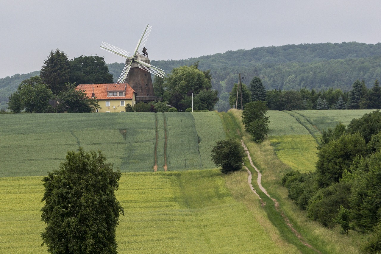 Kraštovaizdis,  Miškas,  Pobūdį,  Windmill,  Istoriškai, Nemokamos Nuotraukos,  Nemokama Licenzija