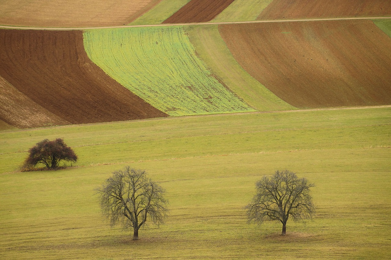 Kraštovaizdis,  Laukai,  Pobūdį,  Ariama,  Žemdirbystė,  Medis,  Laukas,  Žalias,  Augalų,  Žemė