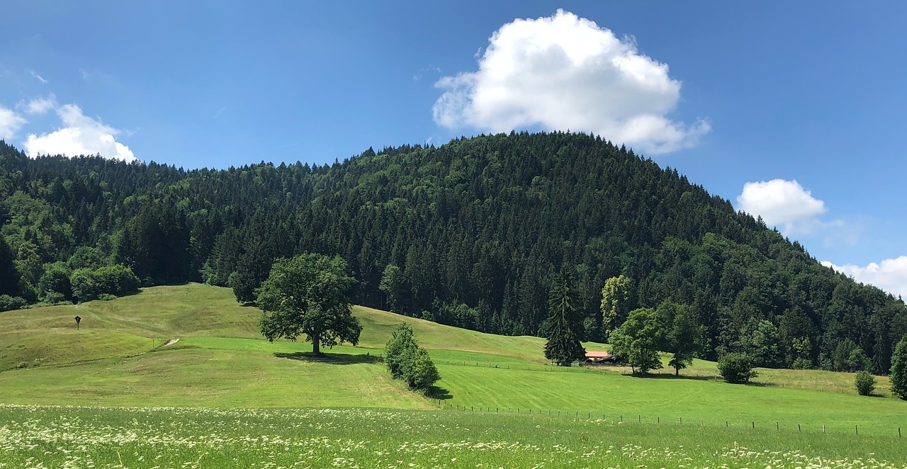 Kraštovaizdis,  Dangus,  Debesys,  Abendstimmung,  Pobūdį,  Nuotaika,  Vasara,  Panorama,  Peržiūrėti,  Medžiai