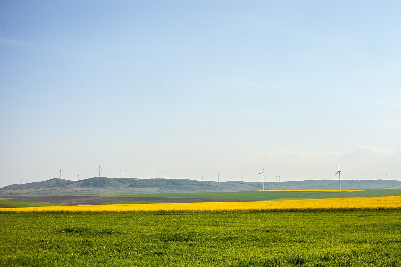 Kraštovaizdis,  Vasara,  Sunny,  Pobūdį,  Mėlyna,  Kelionė,  Žolė,  Atostogos,  Lauko,  Žemdirbystė