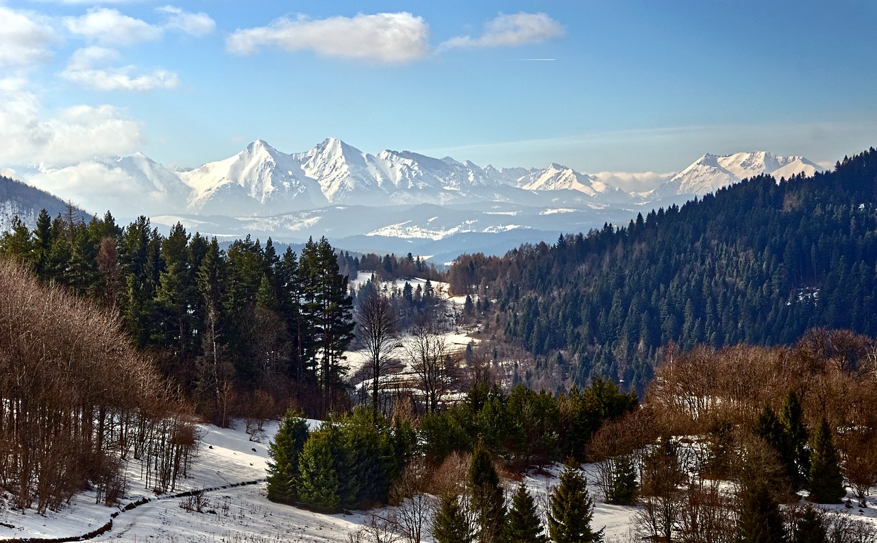 Kraštovaizdis,  Kalnai,  Tatry,  Lenkija,  Beskidai,  Pobūdį,  Sniegas,  Debesys,  Peržiūrėti,  Miškas