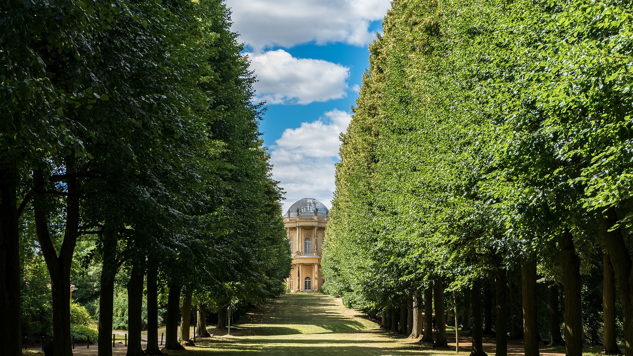 Kraštovaizdis,  Avenue,  Medis Liniuotas Avenue,  Pobūdį,  Medžiai,  Vaikščioti,  Vaizdingas,  Belvedere Ant Klausberg, Nemokamos Nuotraukos,  Nemokama Licenzija