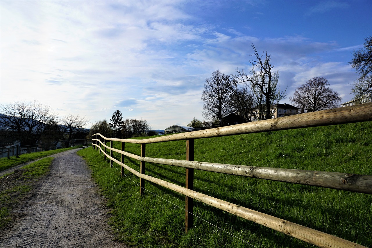 Kraštovaizdis,  Zollikon,  Ciurichas,  Canton,  Šveicarija,  Kalnų,  Hill,  Alpine,  Žemdirbystė,  Alm