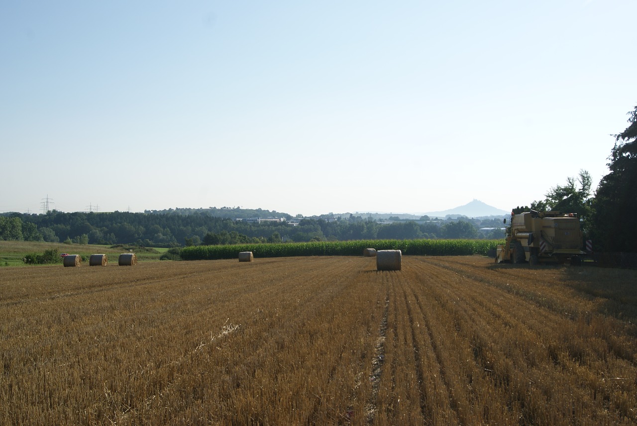 Kraštovaizdis,  Bauer,  Ūkininkas,  Kombainą,  Žemdirbystė,  Laukas,  Ražienos,  Šiaudų,  Derlius,  Panorama