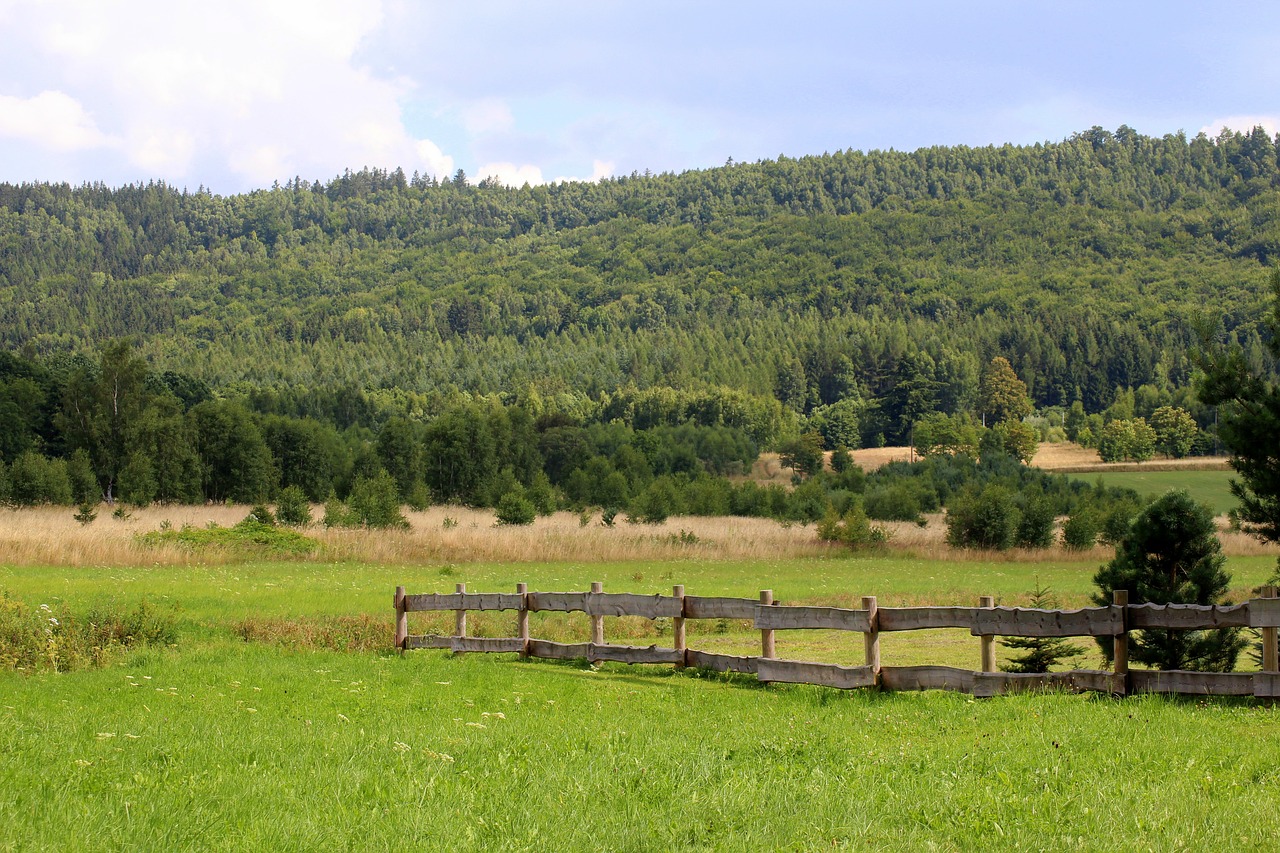 Kraštovaizdis,  Panorama,  Kalnai,  Dangus,  Pobūdį,  Vasara,  Žalias,  Miškas, Nemokamos Nuotraukos,  Nemokama Licenzija